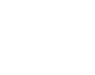 RIS